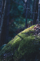 Similar image 22113488