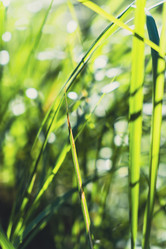 Similar image 22113588