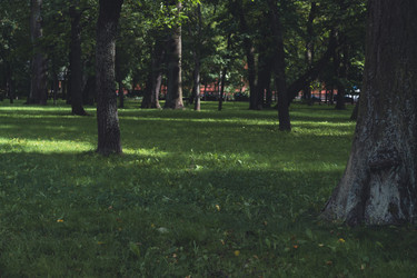 Similar image 22113609