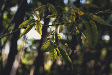 Similar image 22113847