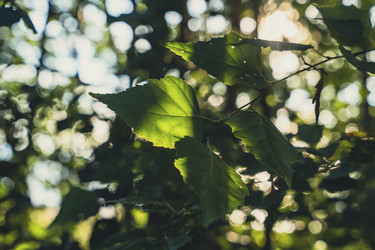 Similar image 22115251