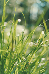 Similar image 22115252