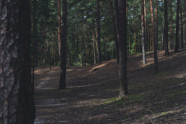 Similar image 22117530