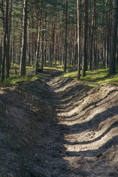 Similar image 22112388