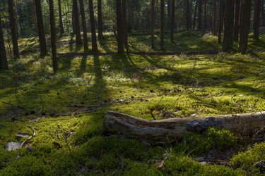 Similar image 22113489