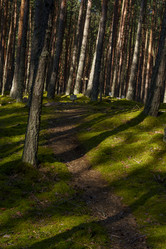 Similar image 22113610