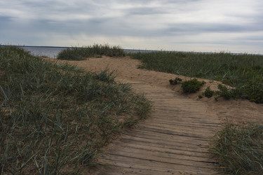 Similar image 22113649