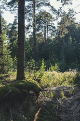 Similar image 22117538