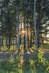 Similar image 22117539