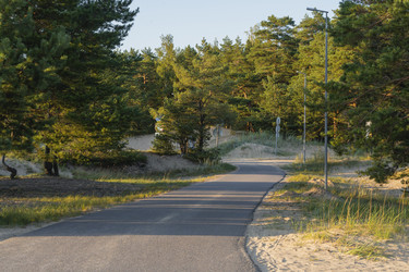 Similar image 22117548