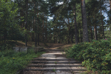 Similar image 22117650