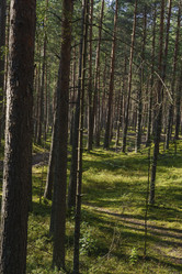 Similar image 22117969