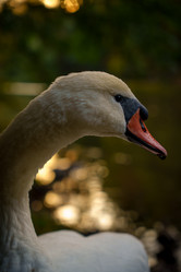 Similar image 22109463