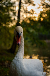 Similar image 22109464