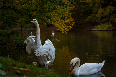 Similar image 22109465