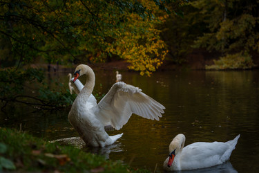 Similar image 22111765