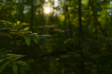 Similar image 22112394