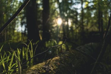 Similar image 22112396