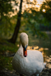 Similar image 22112397