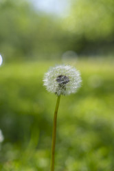 Similar image 22113591