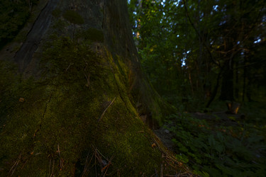 Similar image 22117570