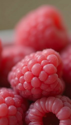 Similar image 22116559