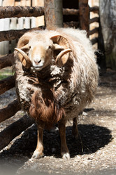 Similar image 22125063