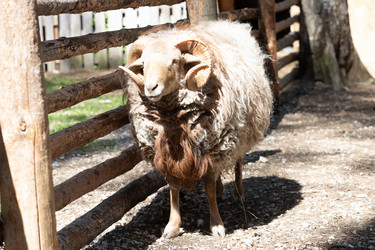 Similar image 22125064