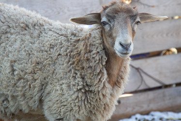 Similar image 22125065