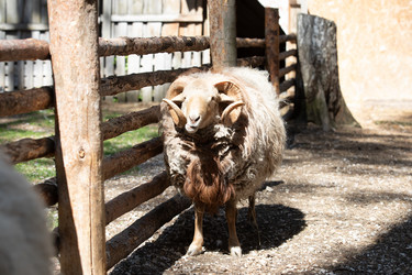 Similar image 22125160