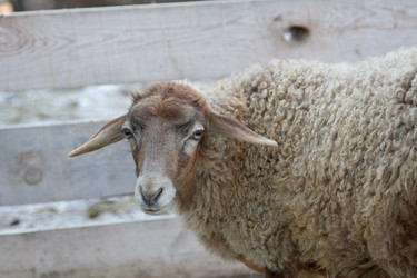 Similar image 22125389