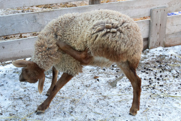 Similar image 22125390