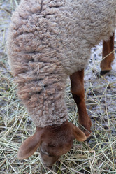 Similar image 22125392