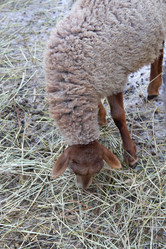 Similar image 22125393