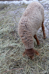 Similar image 22125394