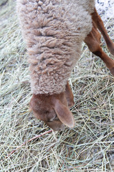 Similar image 22125395