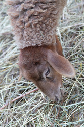 Similar image 22125396