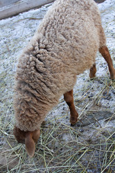 Similar image 22125397