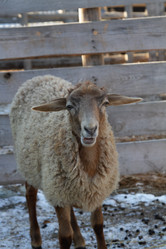 Similar image 22125469