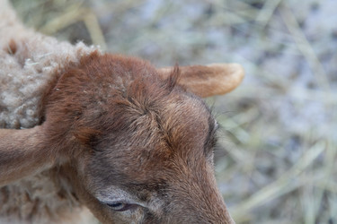 Similar image 22125470