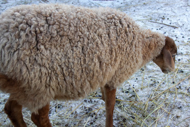 Similar image 22125471