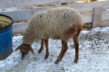 Similar image 22125472