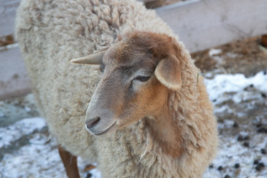 Similar image 22125473