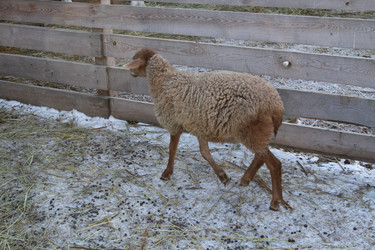 Similar image 22125475