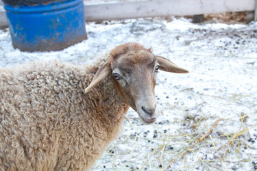 Similar image 22125476