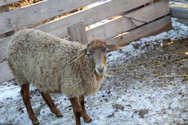 Similar image 22125478