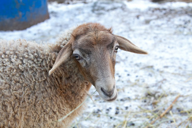 Similar image 22125479