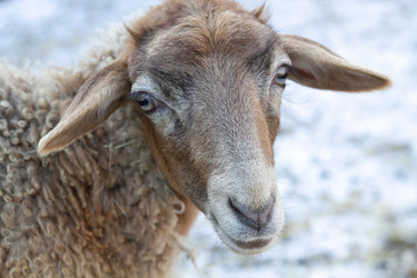 Similar image 22125480