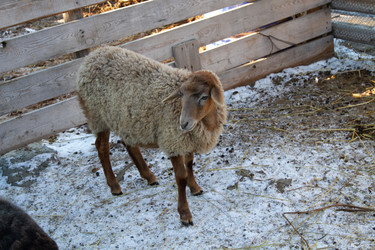 Similar image 22125573