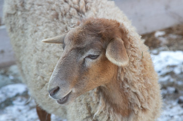 Similar image 22125575